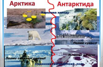 Відмінності Арктики та Антарктиди: клімат, флора, фауна та лід