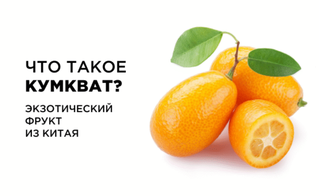 Фрукт кумкват: як правильно їсти та насолоджуватися смаком Фрукт кумкват: як правильно їсти та насолоджуватися смаком