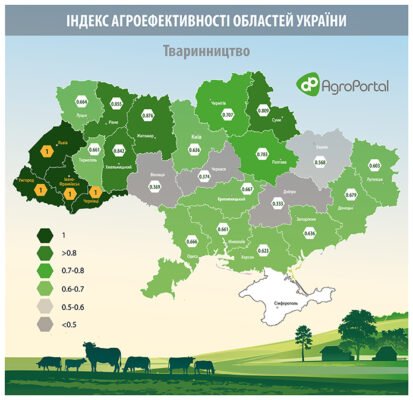 Закарпаття і Прикарпаття: основні відмінності регіонів України