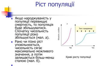 Різниця між народжуваністю і смертністю: аналіз демографії України