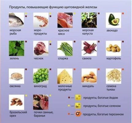 Що не можна їсти при гіпертиреозі: застереження для вашого здоров’я Що не можна їсти при гіпертиреозі: застереження для вашого здоров’я