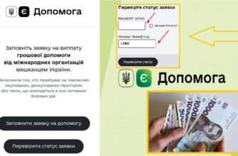 Перевірка статусу допомоги від ООН: як дізнатися свою підтримку