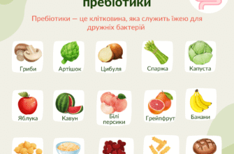 Пребіотики і пробіотики: у чому різниця та як вони працюють?
