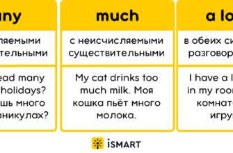 Різниця між “many” та “much”: як правильно використовувати слова?