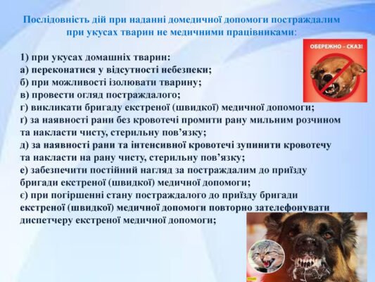 Ефективна домедична допомога в разі укусу диких тварин: поради та дії