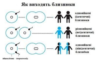 Близнюки і двійнята: в чому відмінність і особливості розвитку?