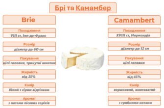 Камамбер і брі: відмінності, які роблять кожен сир унікальним