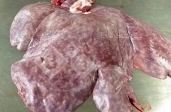 “Білі плями на печінці свиней: чи безпечно вживати у їжу?”