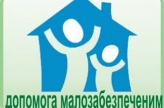 Державна соціальна допомога малозабезпеченим сім’ям: види та умови отримання