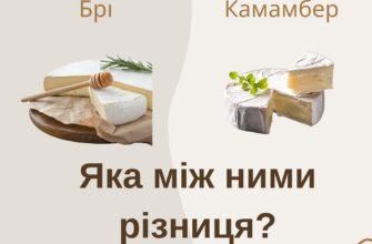 Сир брі та камамбер: головні відмінності та особливості смаку