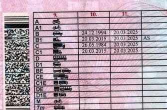 Різниця між категоріями С та С1: що потрібно знати водіям?