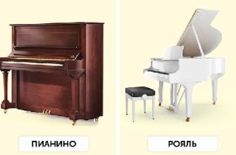 Різниця між піаніно та фортепіано: що потрібно знати музикантам?