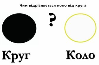 Яка різниця між колом і кругом: основні відмінності та пояснення