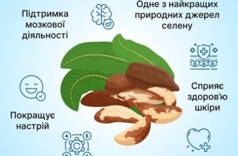 Як правильно їсти бразильський горіх: прості поради та рекомендації