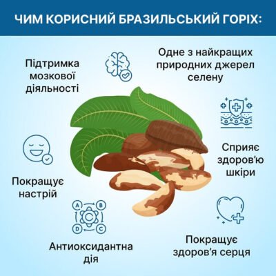 Як правильно їсти бразильський горіх: прості поради та рекомендації Як правильно їсти бразильський горіх: прості поради та рекомендації