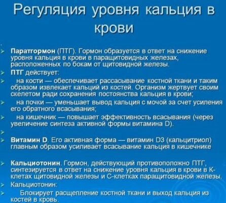 Різниця між загальним і іонізованим кальцієм: пояснення та важливість