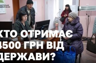 Заголовок для h1: Ефективність єдиної соціальної допомоги: переваги та виклики