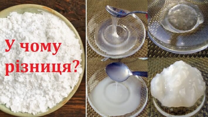 Різниця між кукурудзяним і картопляним крохмалем: що обрати? Різниця між кукурудзяним і картопляним крохмалем: що обрати?