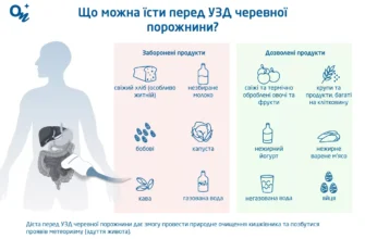 Чи можна їсти перед УЗД: правила та рекомендації для пацієнтів