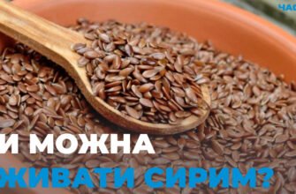 Насіння льону: чи безпечно вживати його у їжу для здоров’я?
