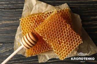 Чи можна їсти соти з медом: користь та рекомендації експертів