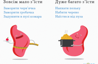 Правильний правопис “з’їсти”: поради для уникнення помилок