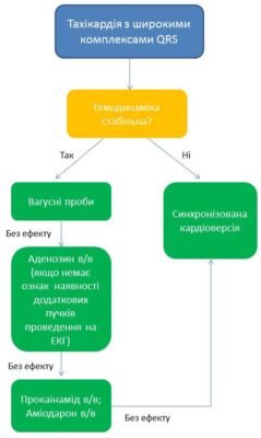 Невідкладна допомога при пароксизмальній тахікардії: що потрібно знати Невідкладна допомога при пароксизмальній тахікардії: що потрібно знати