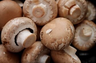 Чи можна їсти сирі шампіньйони: безпечність та користь продукту