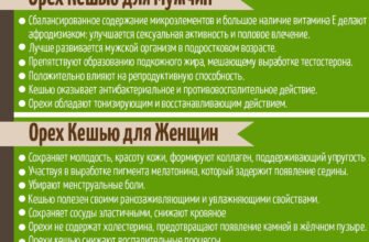 Скільки кешью можна їсти в день: оптимальна кількість для здоров’я