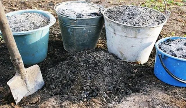 Зола і попіл: Яка різниця між двома подібними поняттями? Зола і попіл: Яка різниця між двома подібними поняттями?