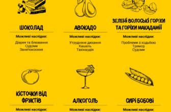 Що не можна їсти собакам: список заборонених продуктів для харчування