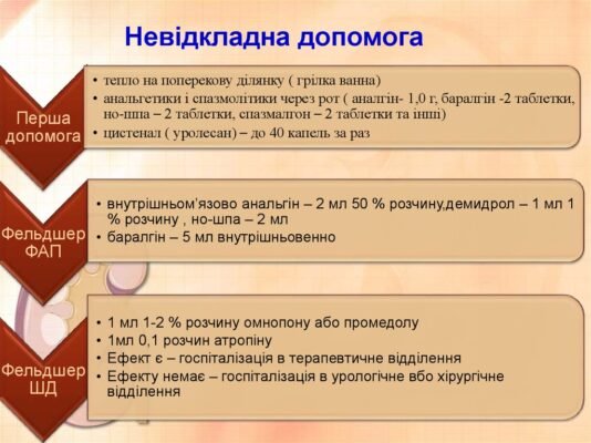 Ефективна невідкладна допомога при нирковій кольці: протокол дій