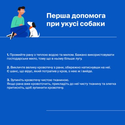 Перша допомога при укусах собак: поради та важливі кроки