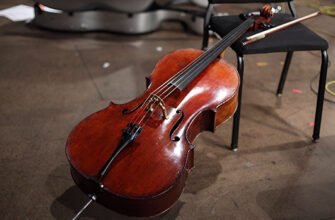 Різниця між контрабасом і віолончеллю: основні відмінності та звучання