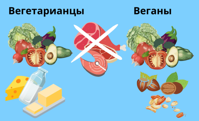 Різниця між веганом і вегетаріанцем: що обрати для себе? Різниця між веганом і вегетаріанцем: що обрати для себе?