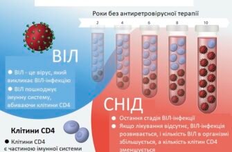 Різниця між ВІЛ та СНІД: що потрібно знати для захисту себе