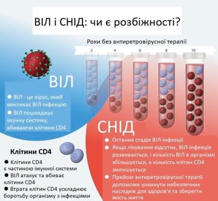 Різниця між ВІЛ та СНІД: що потрібно знати для захисту себе