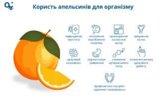 Скільки апельсинів можна їсти в день без шкоди для здоров’я?
